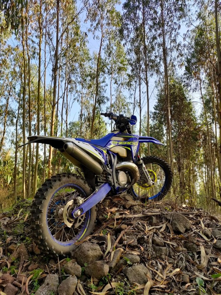 Sherco factory 300 2t