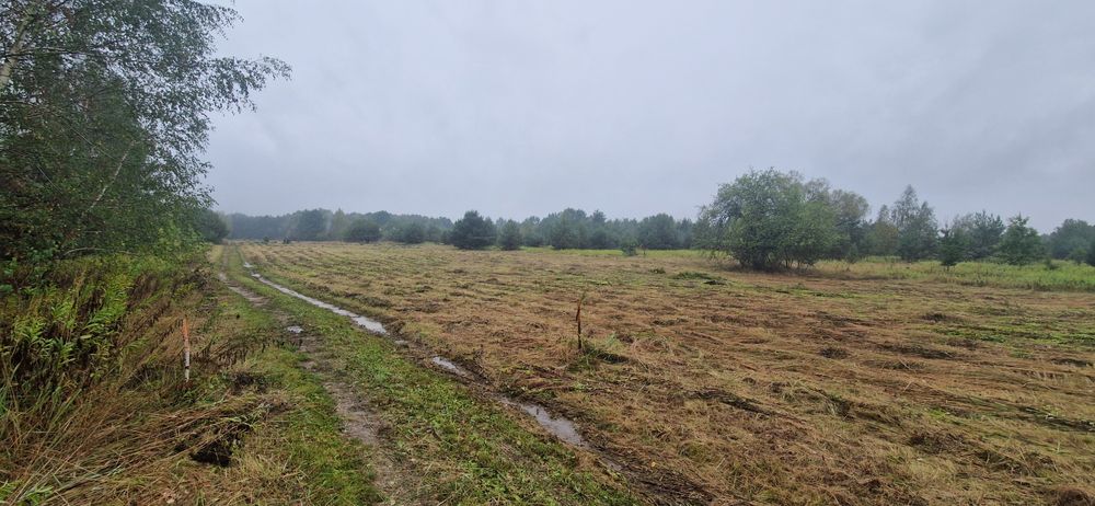 Działka na sprzedaż, Secymin Polski 3000m2