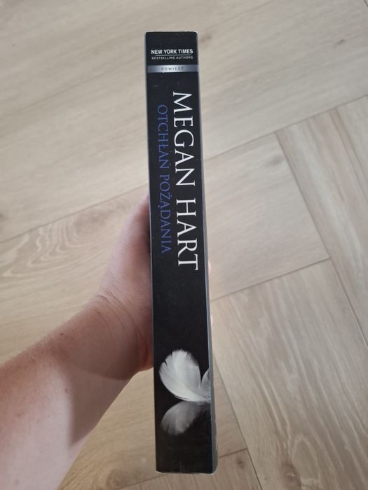 Otchłań pożądania Megan Hart erotyk