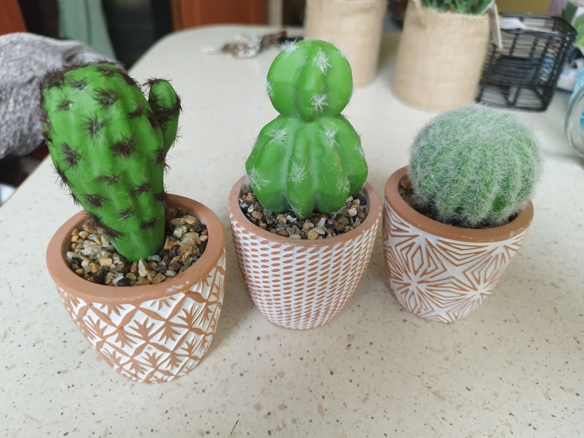 Kaktusy sztuczne