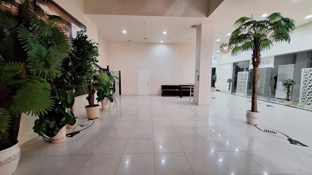 Оренда приміщень у ТРЦ "Пальміра Plaza" від 33 до 504 кв.м.