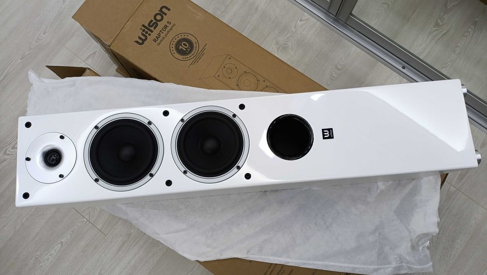 WILSON RAPTOR 5 напольные колонки акустическая система HI-FI (2 штуки)