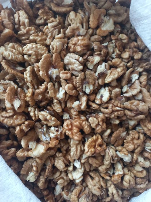 Орех грецкий волоський