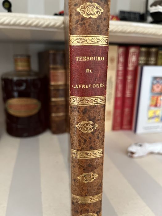 Livro Sec XIX Thesouro de Lagradores