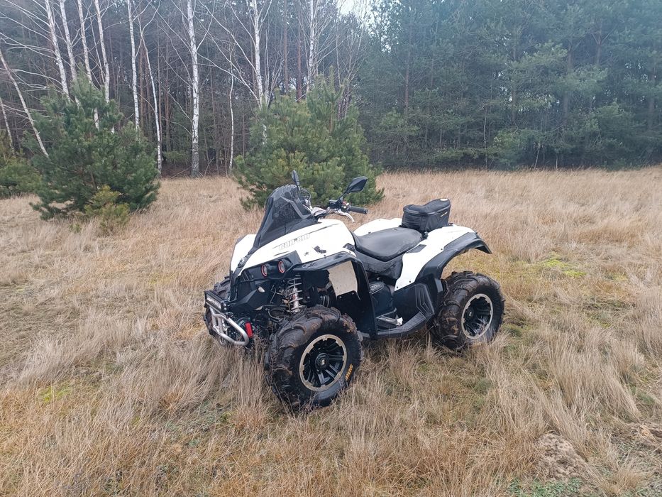 can am renegade 800r