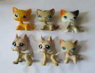 Kot shorthair dog niemiecki Littlest Pet Shop