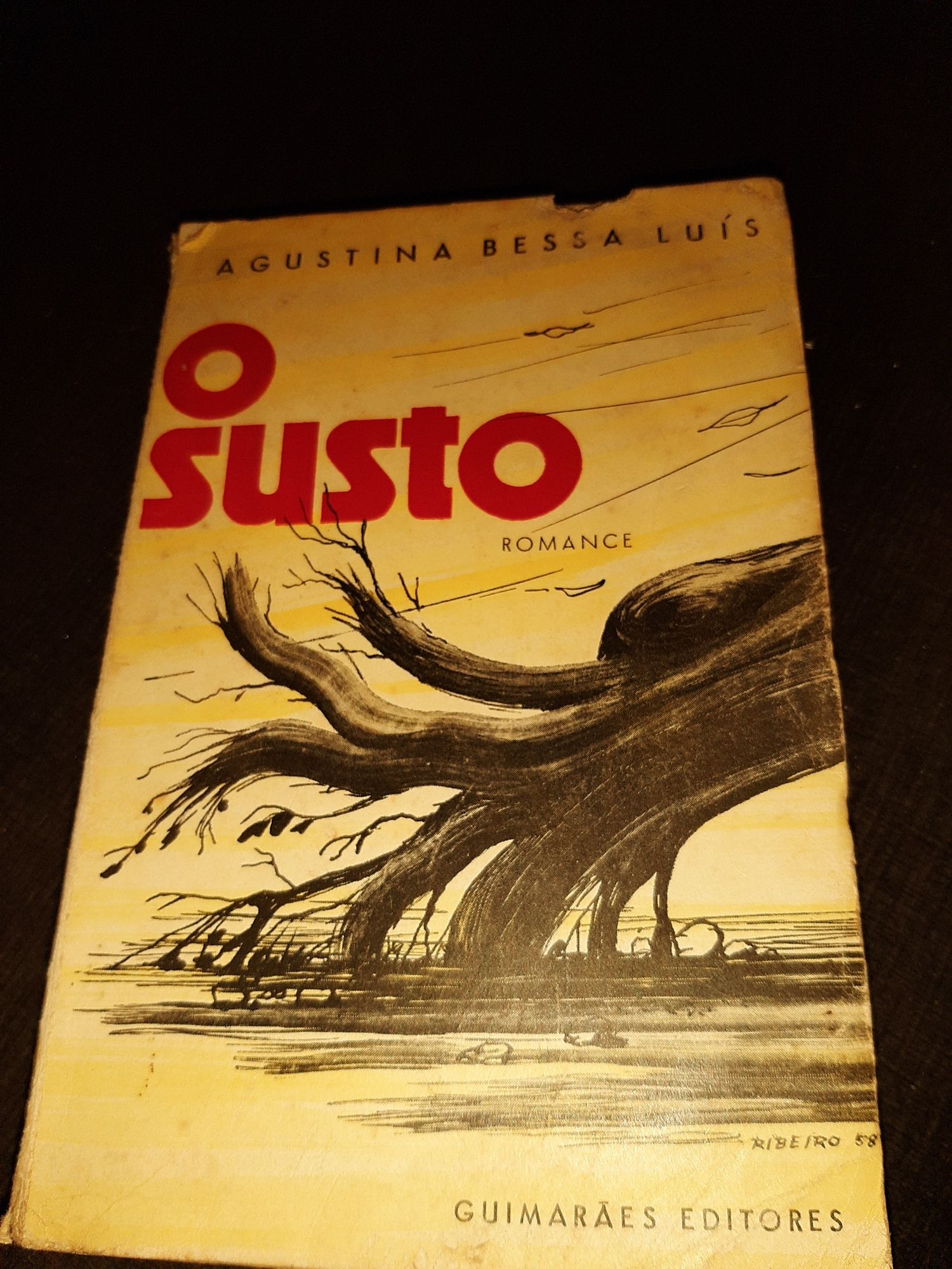 O Susto de Agustina  Bessa  Luís  1 Edição
