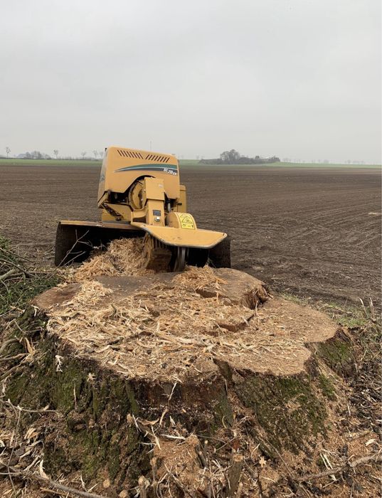 Mulczer Leśny Wycinka Drzew Frezowanie Pni