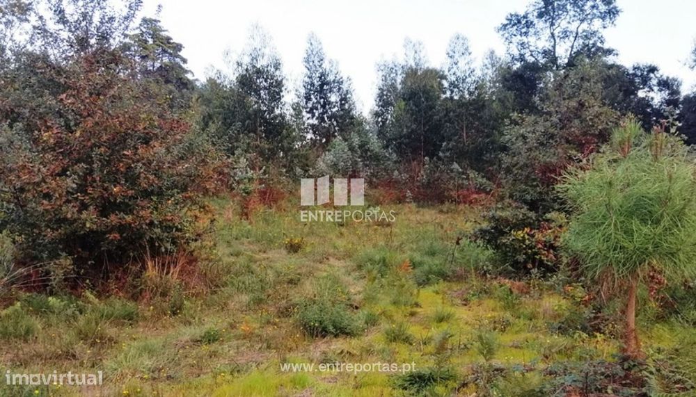Venda de terreno para construção, Carvoeiro, Viana do Castelo