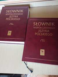 Słownik współczesnego języka polskiego dwa tomy
