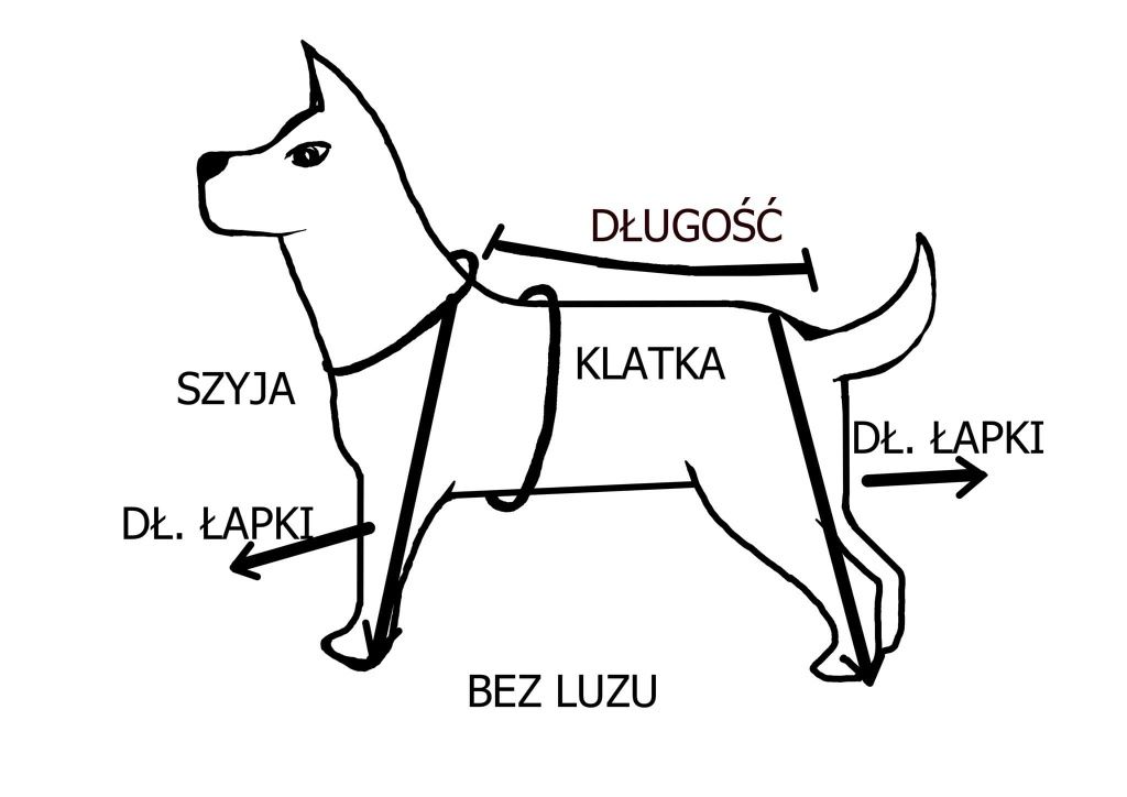 Kurteczka ,ubranko zimowe dla psa york mops ,jamnik szyte na miarę