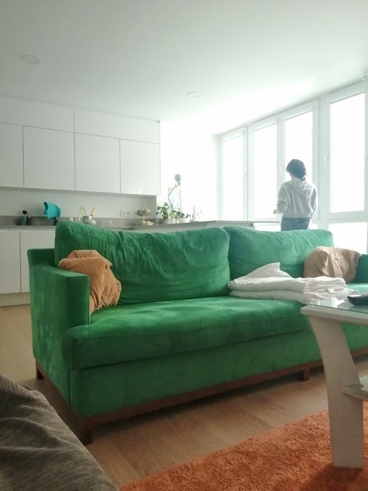 sofa Verde veludo