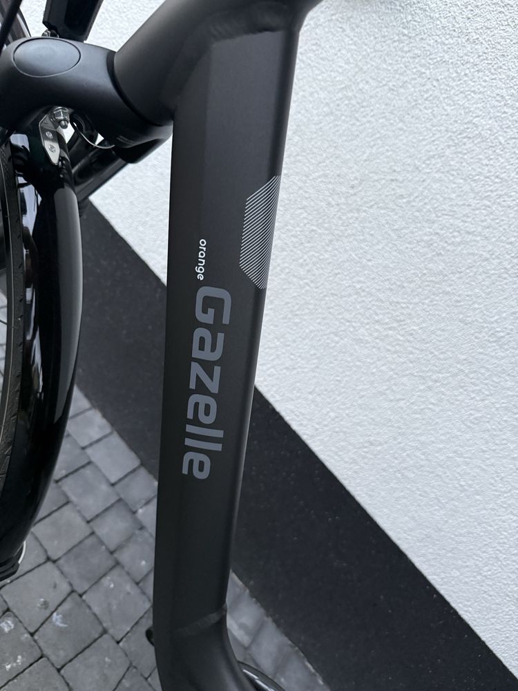 Gazelle orange c7  D 57