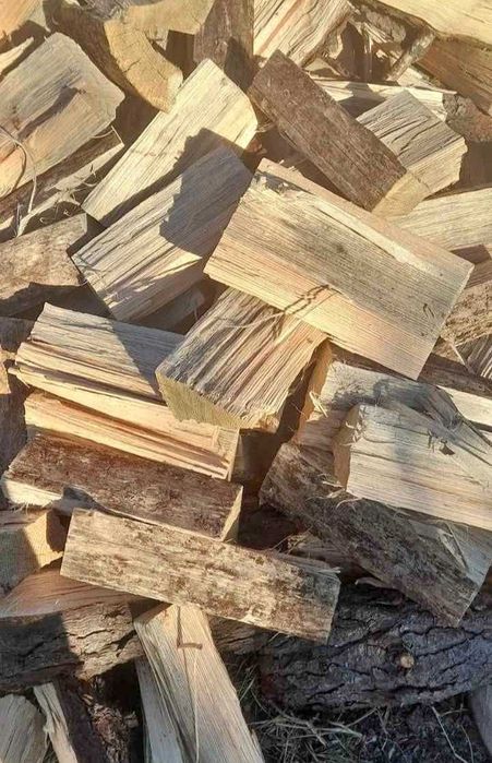 Lenha de pinho seca 35€ o metro cúbico