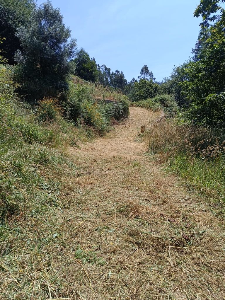 Limpeza de jardins e terrenos