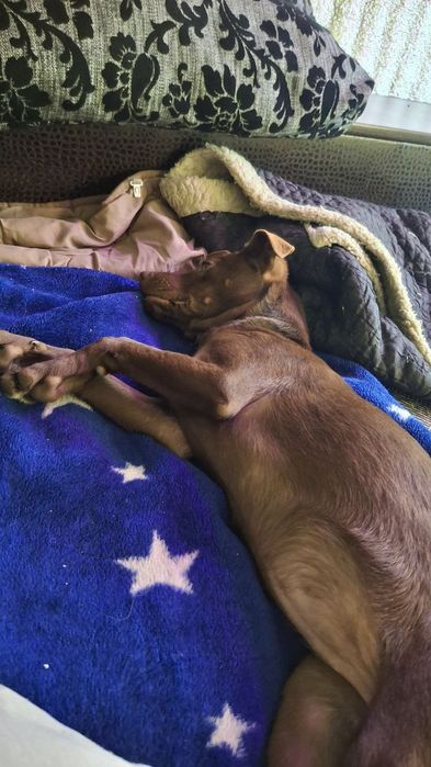 Шукає люблячу сім'ю