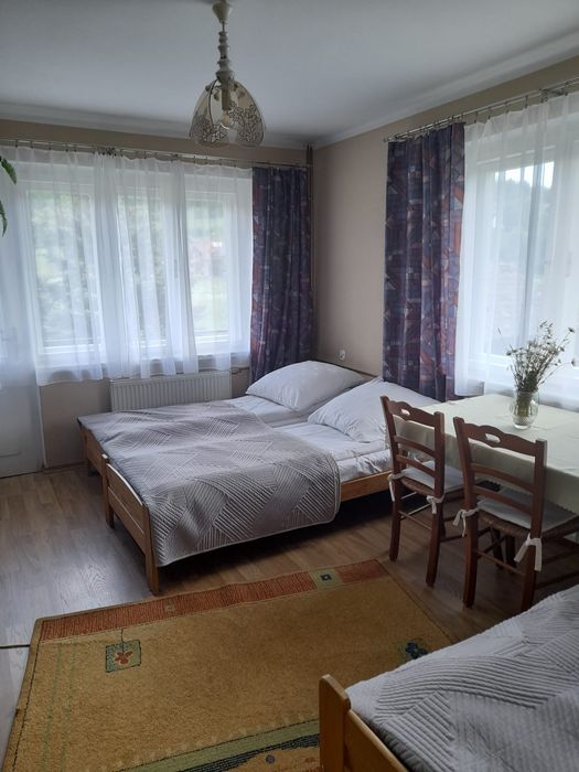 Pieniny noclegi Apartament 5cio osobowy z kuchnią