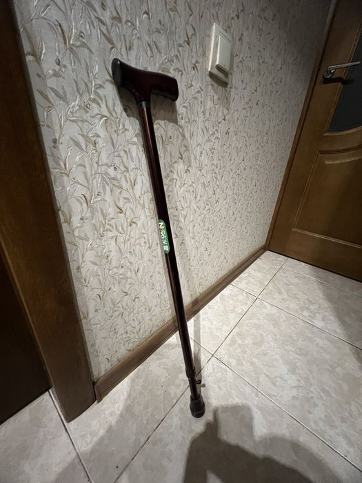 Продам трость цена 1000 ТОРГ