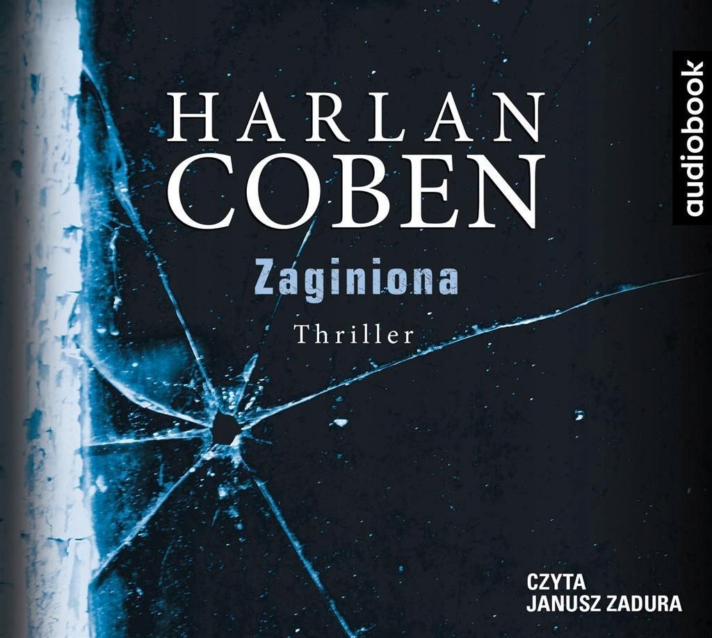 Zaginiona Audiobook