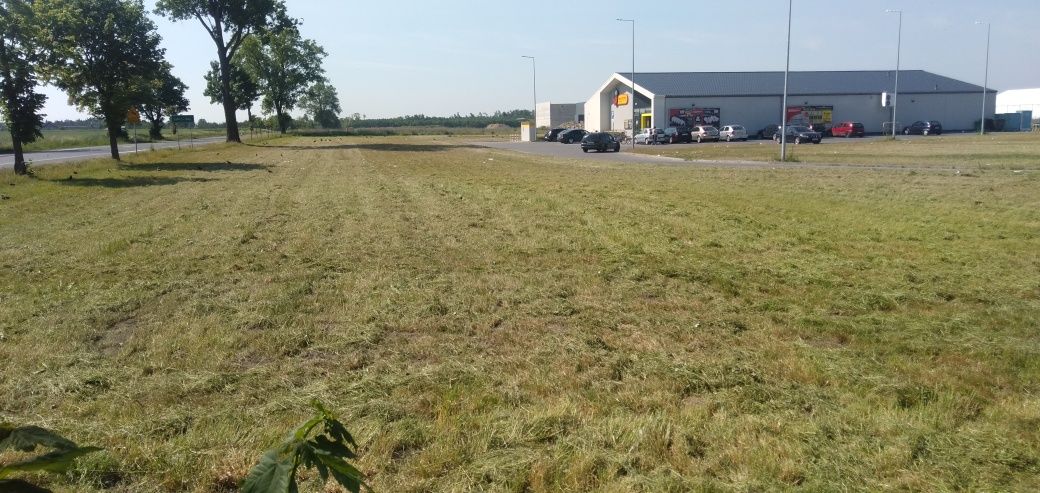 Koszenie działek Mulczowanie nieużytków  łąk zakrzaczenia ziemia torfo