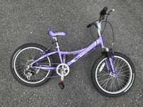 Rower Trek Mountaintrack 60 20" 5-8lat