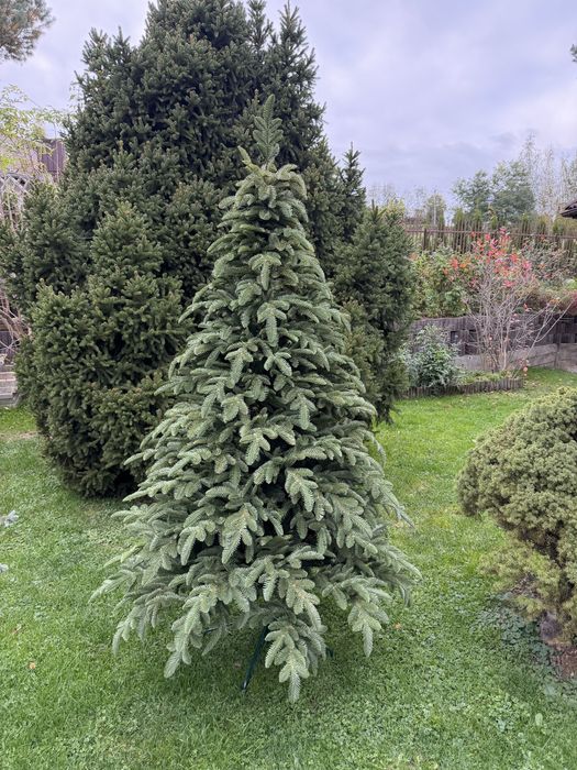Jodła Nobilis Premium 2D 100% PE
