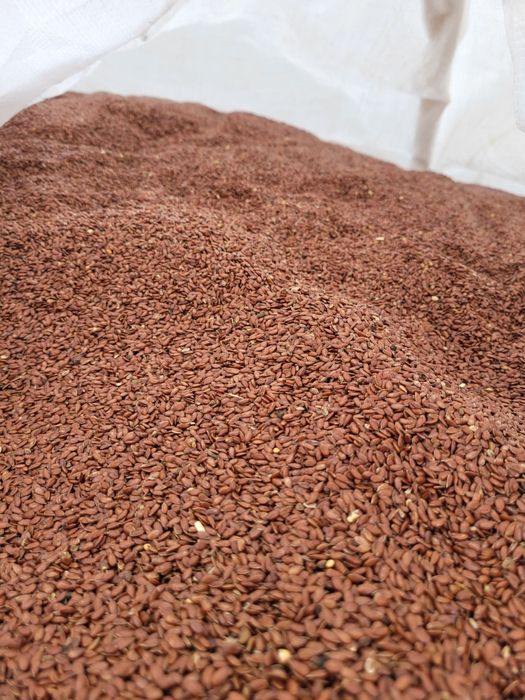 Siemię lniane 25 kg. Czystość 99 %