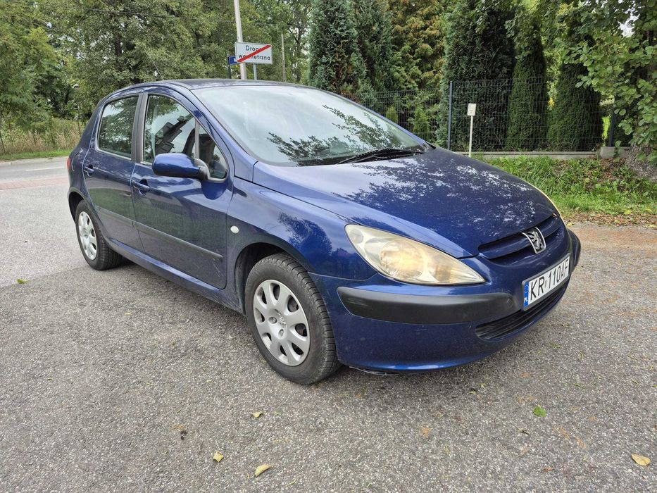 Peugeot 307 1.6B
