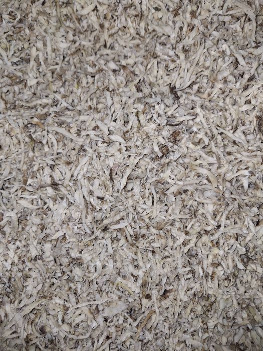 Wysłodki buraczane świeże prosto z produkcji z dostawą