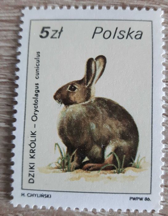 Znaczki Fi. 2871 do 2876; 2878 czyste z roku 1986