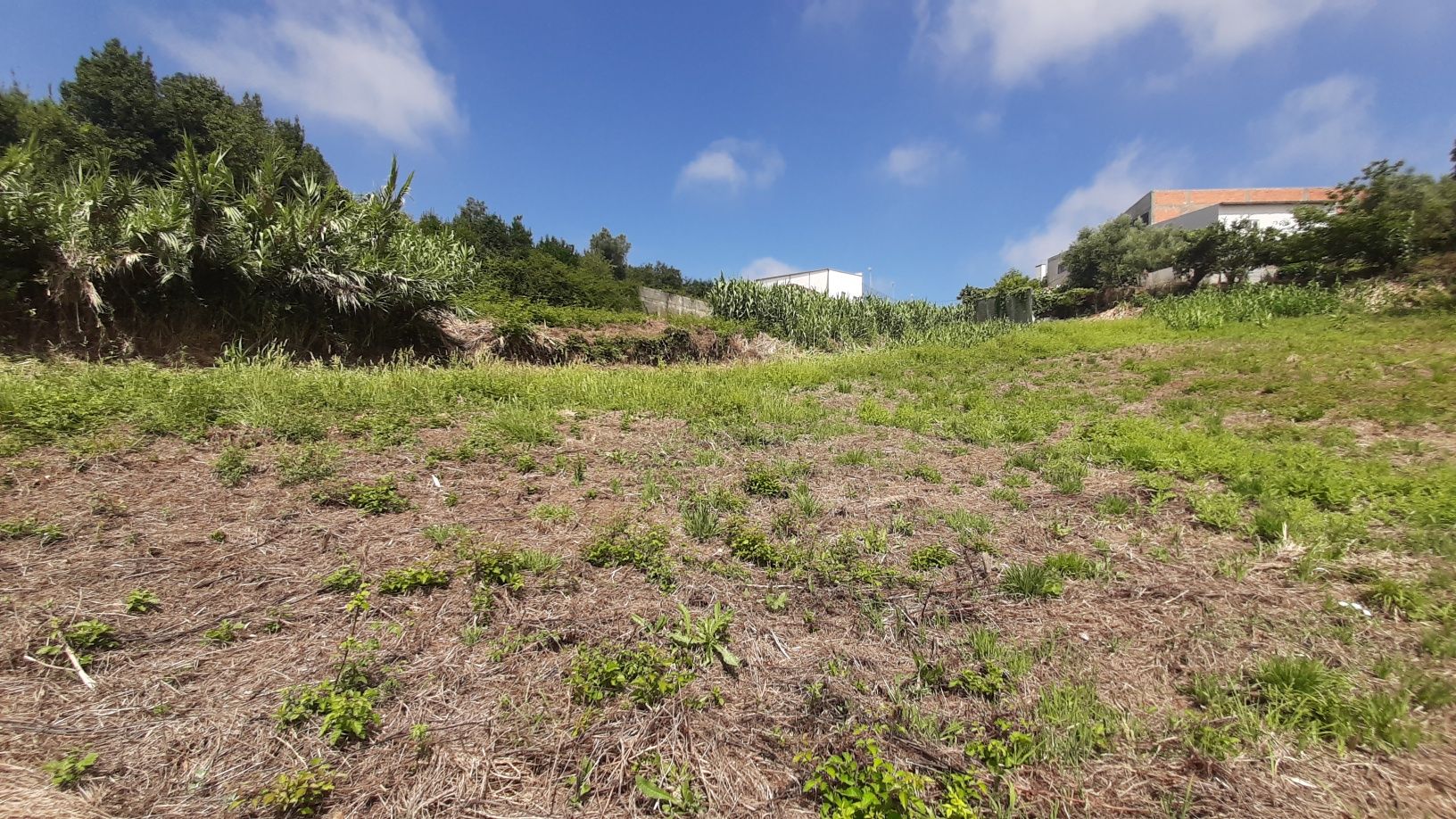 Terreno rustico p/ venda