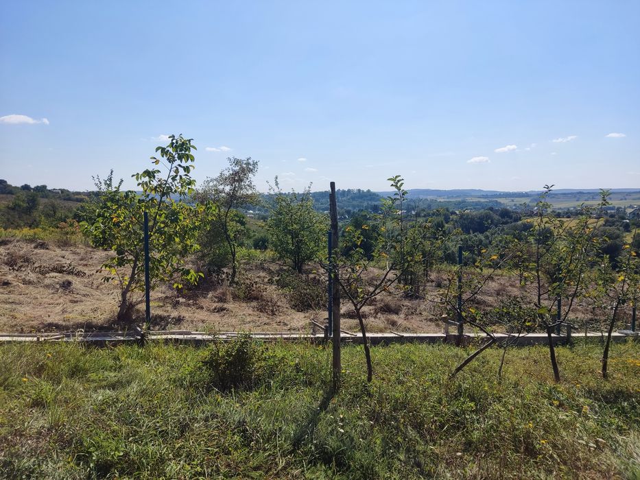 Вигідна пропозиція з продажу ділянки в с. Коровія