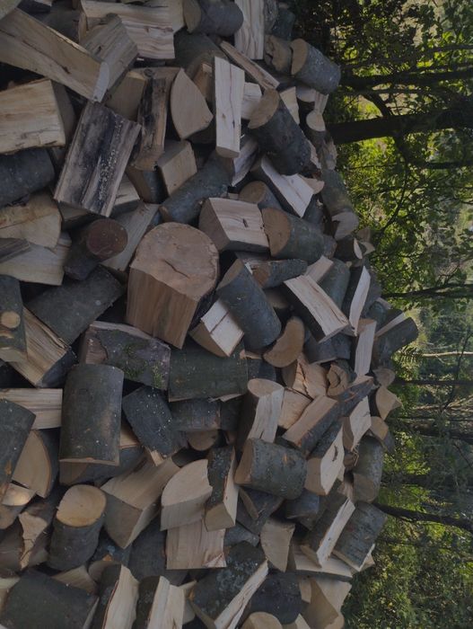 Drewno opałowe buk,sosna