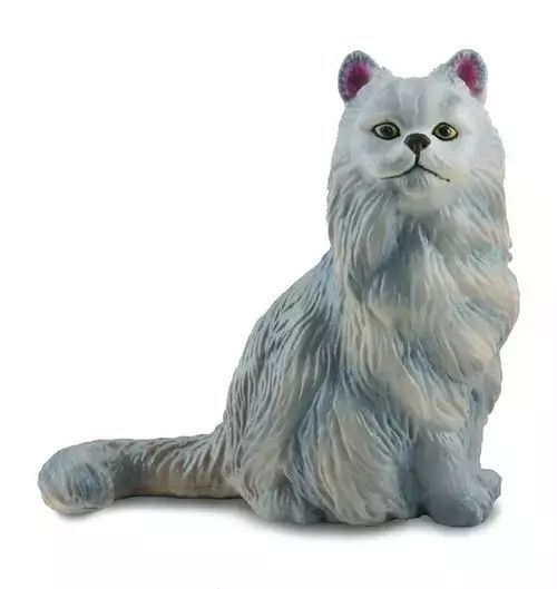 Kot perski siedzący. Collecta