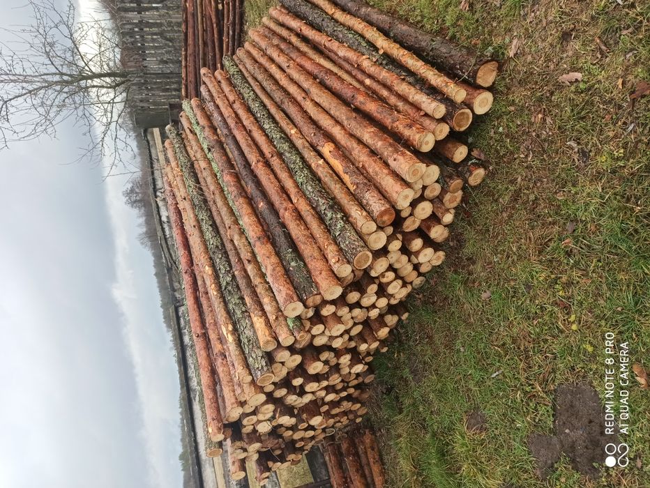 Stemple budowlane, słupki ogrodzeniowe