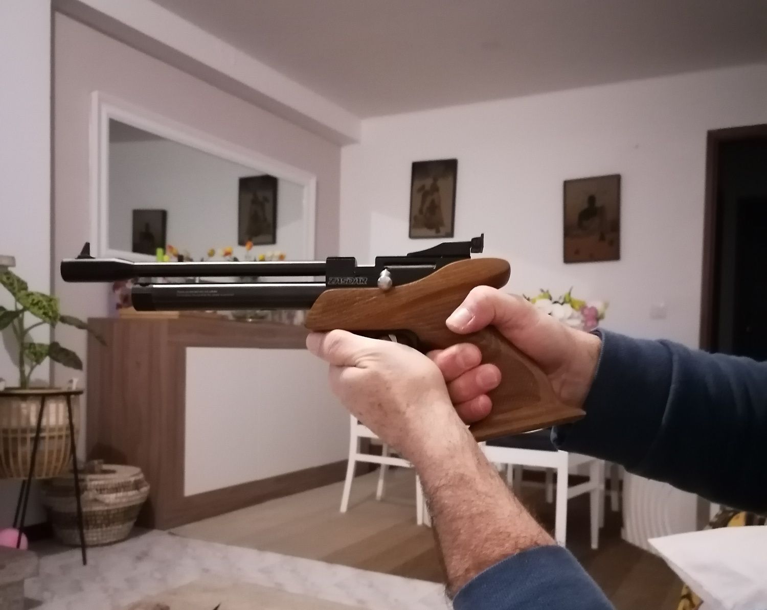 Vende-se Pistola de tiro desportivo Co2.