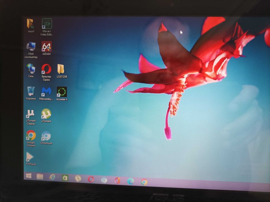 Нетбук ASUS VivoBook S200E для навчання та роботи