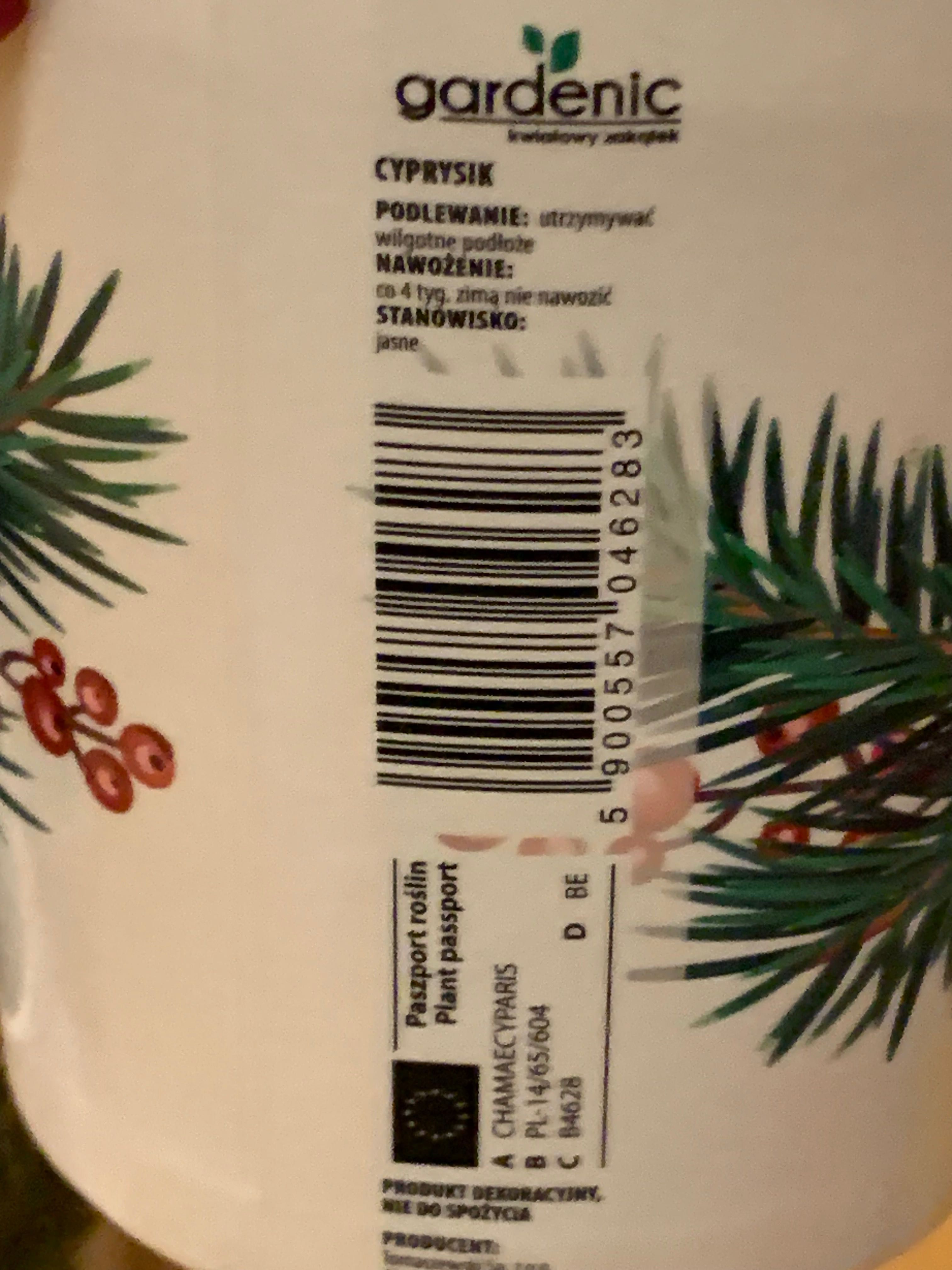 Osłonki świąteczne z doniczką