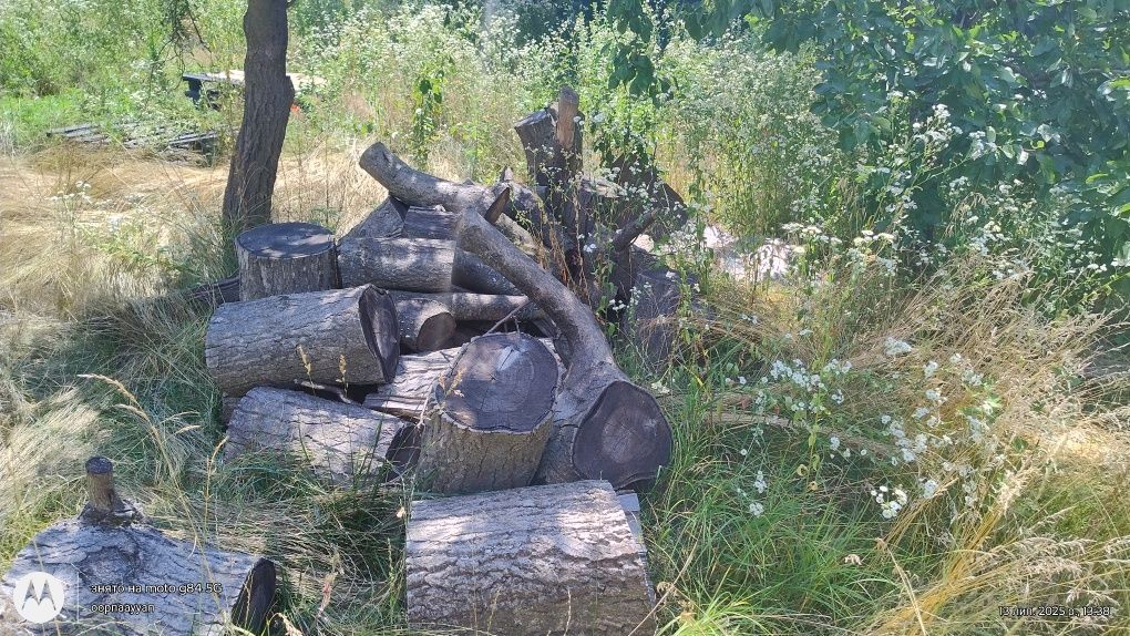 Покіс трави, прибирання територій