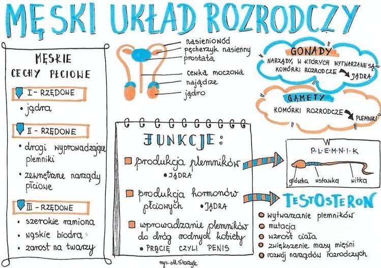 Dysk maturalny notatki matura biologia chemia repetytoria