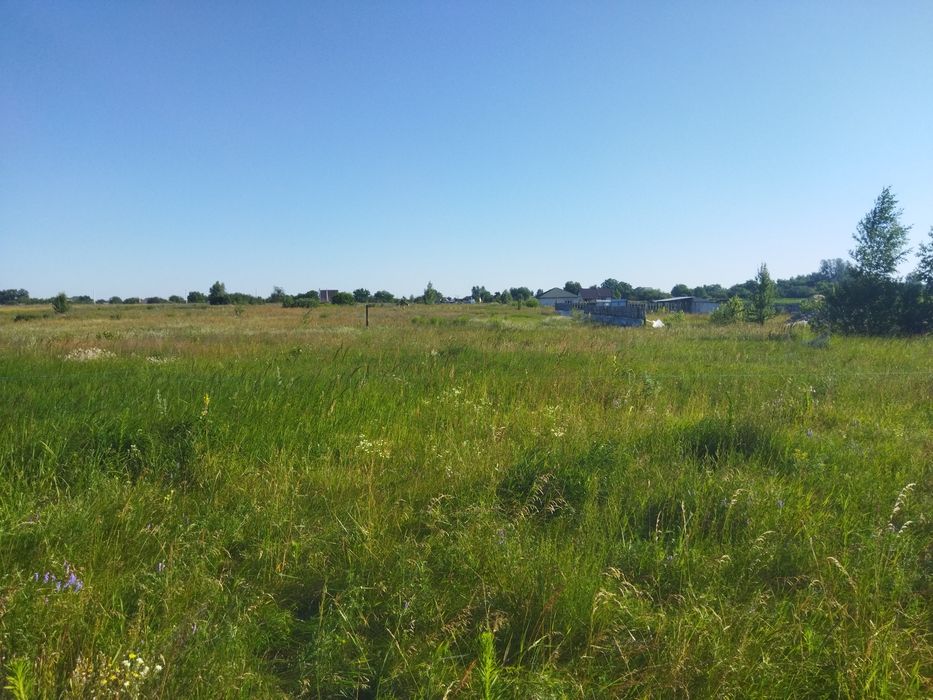 Земельна ділянка