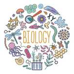 Korepetycje biologia