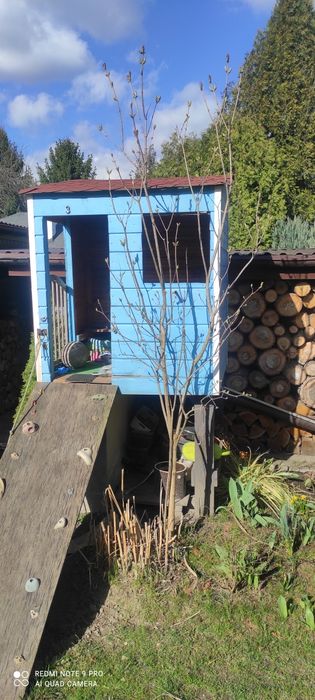 Domek dla dziecka, domek na drzewie