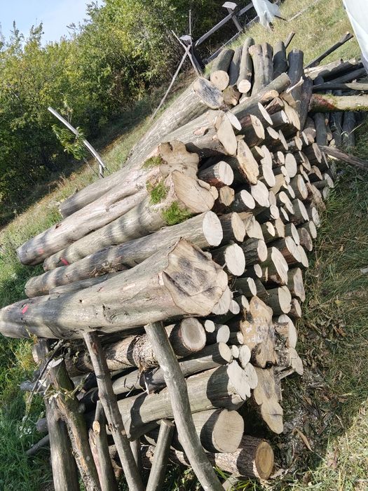 Drewno LIPOWE LIPA, DĄB / GRAB drewno kominkowe opałowe lisciaste