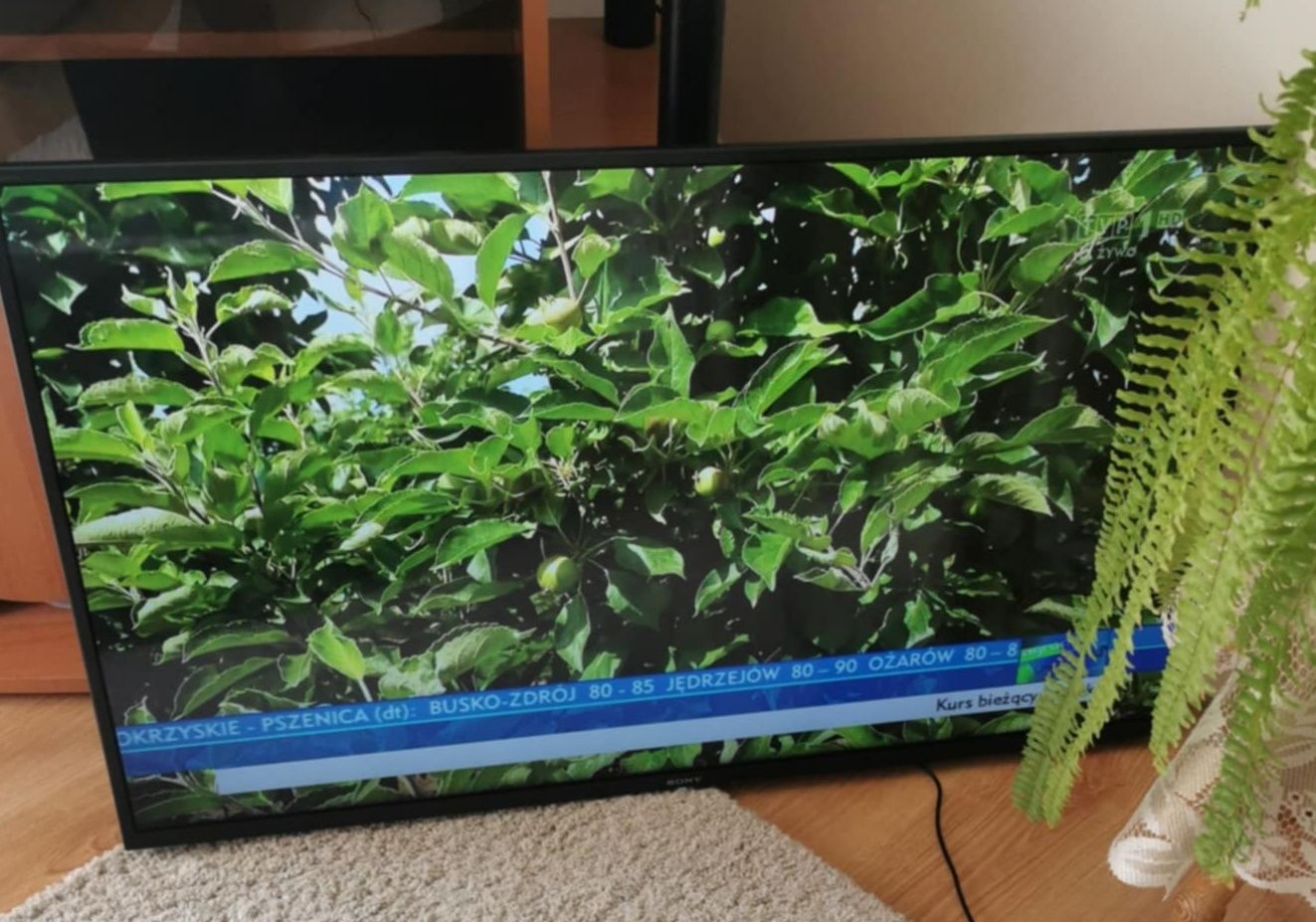 Sprzedam telewizor