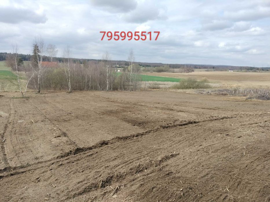 Mulczowanie Karczowanie Działek Mulczerem Leśnym wycinka drzew