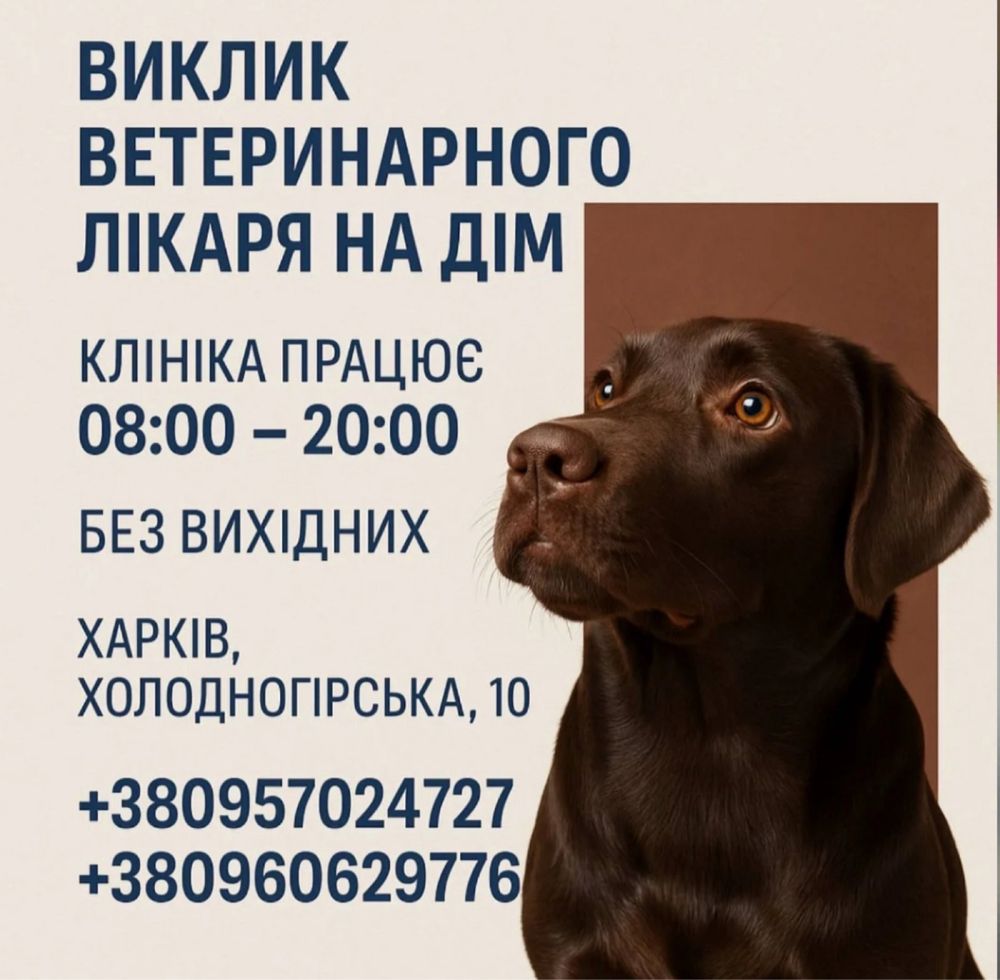 Ветеринарні послуги