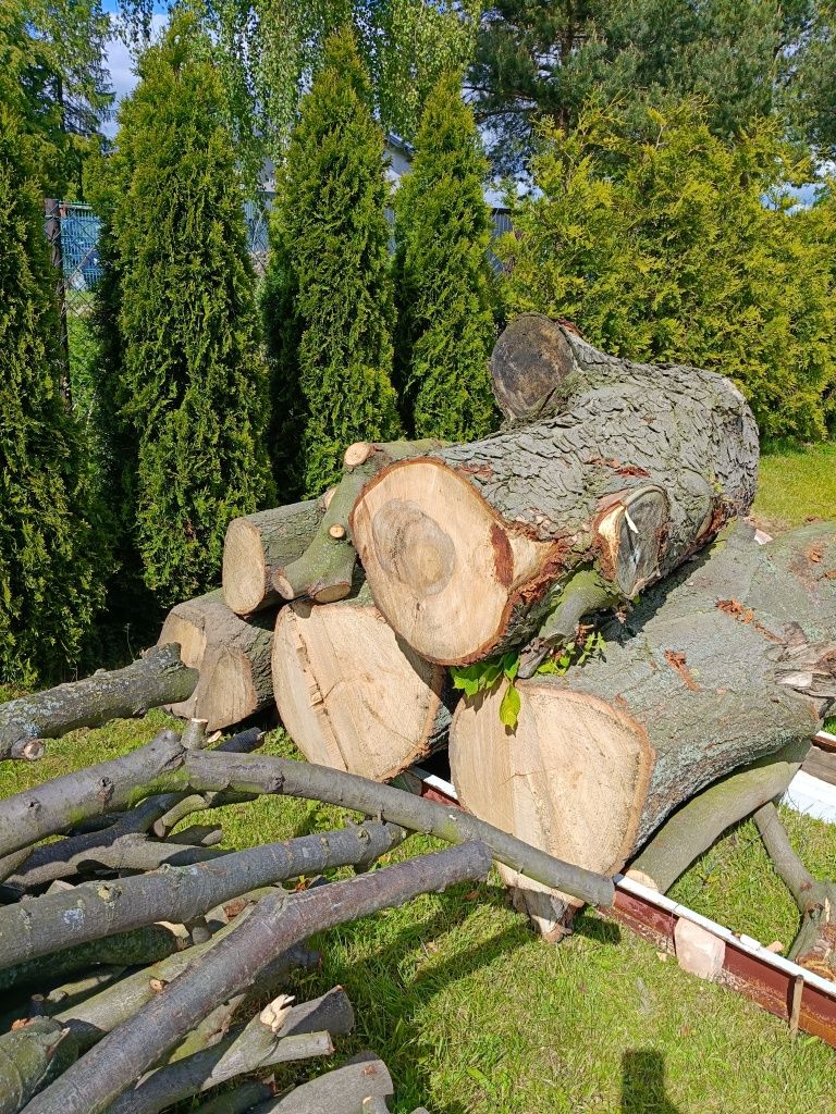 Drzewo na opał lipa, kasztan