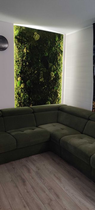 Mech skandynawski (Scandinavian Moss) - demontaż panela 1,5x2,6 metra!