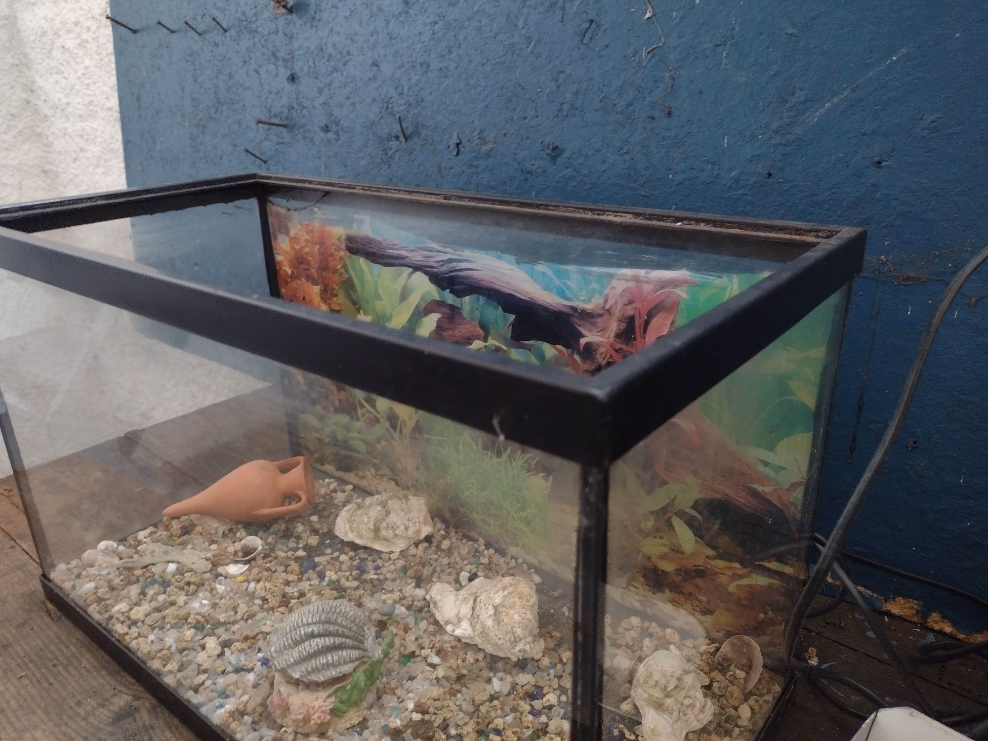 Aquário de vidro para peixes com filtro